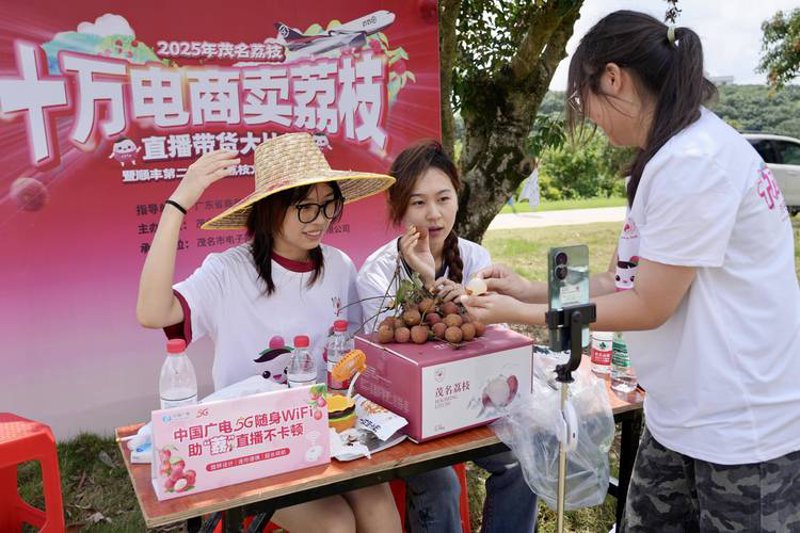 档案管理系统的变革：从传统到智能